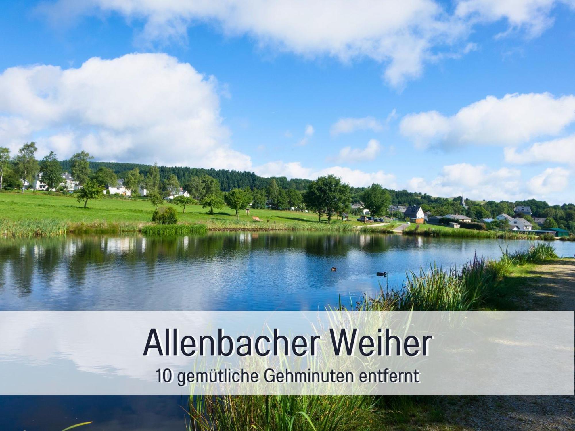 Natur-Chalet Zum Nationalpark Marie-Luise Inkl E-Auto Allenbach Exteriér fotografie
