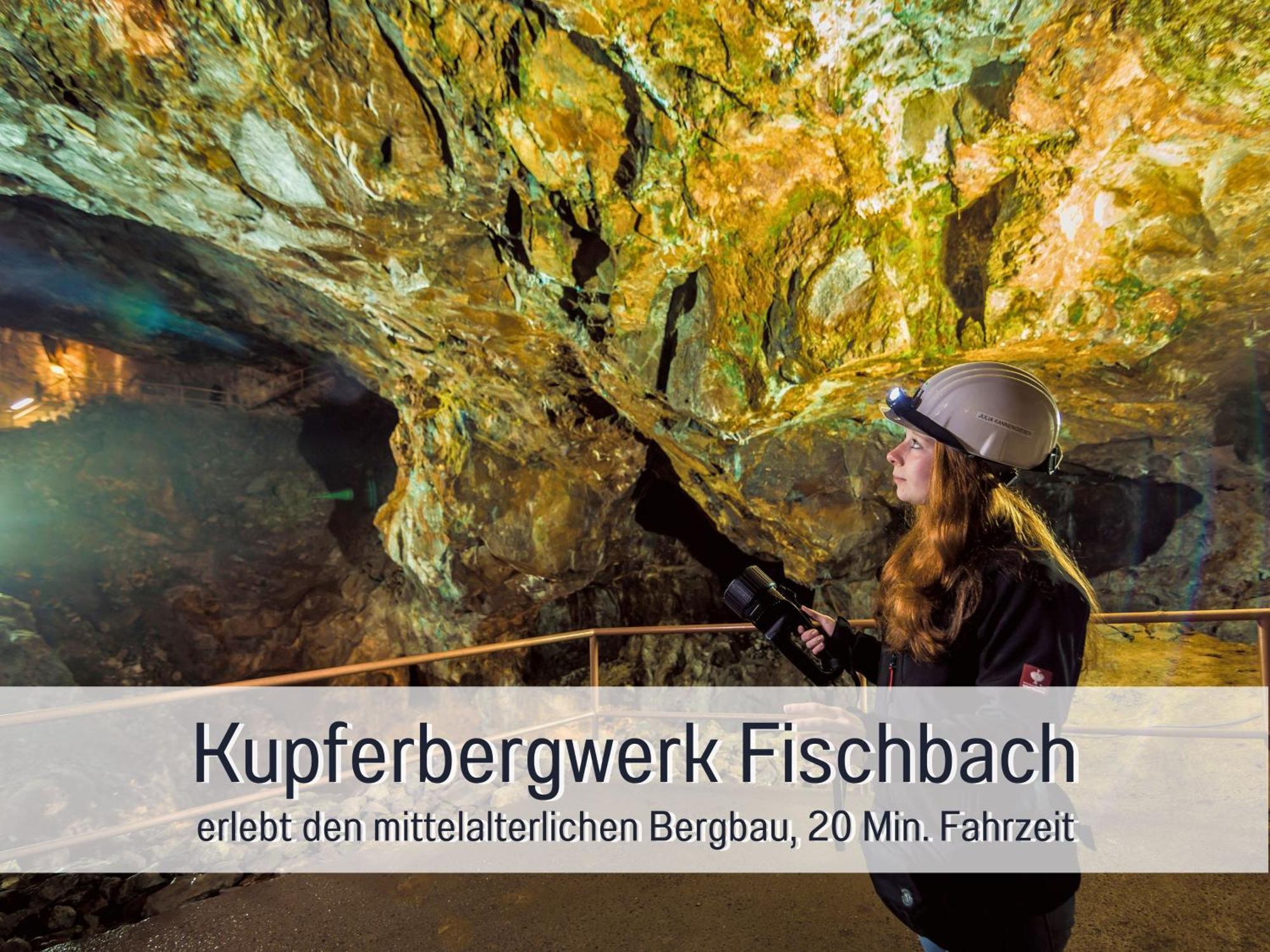 Natur-Chalet Zum Nationalpark Marie-Luise Inkl E-Auto Allenbach Exteriér fotografie