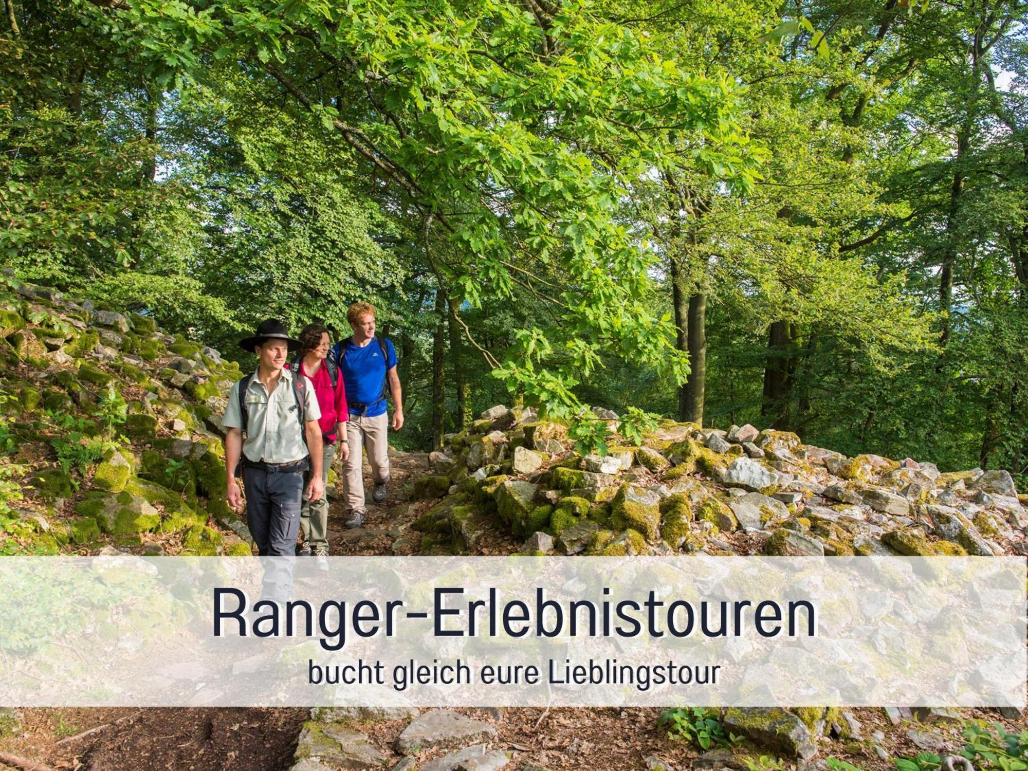 Natur-Chalet Zum Nationalpark Marie-Luise Inkl E-Auto Allenbach Exteriér fotografie