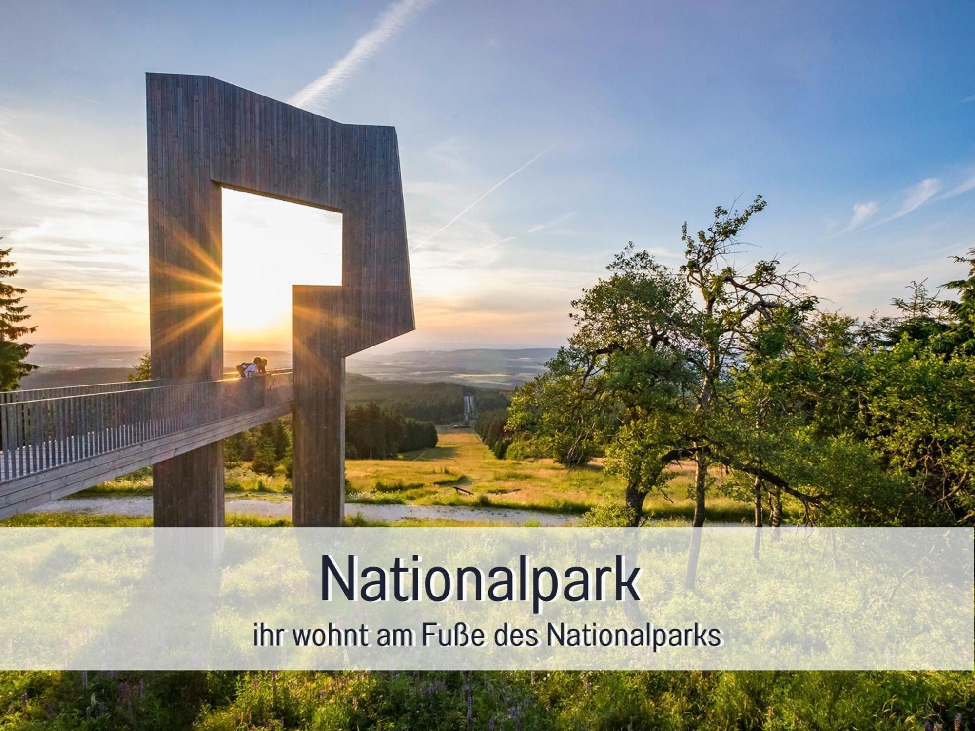 Natur-Chalet Zum Nationalpark Marie-Luise Inkl E-Auto Allenbach Exteriér fotografie